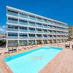 Strelitzias , Playa del Inglés Spanien